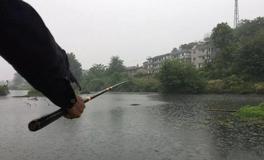 鯽魚竿能釣鯉魚嗎，論鯽竿鯉竿綜合竿的區別